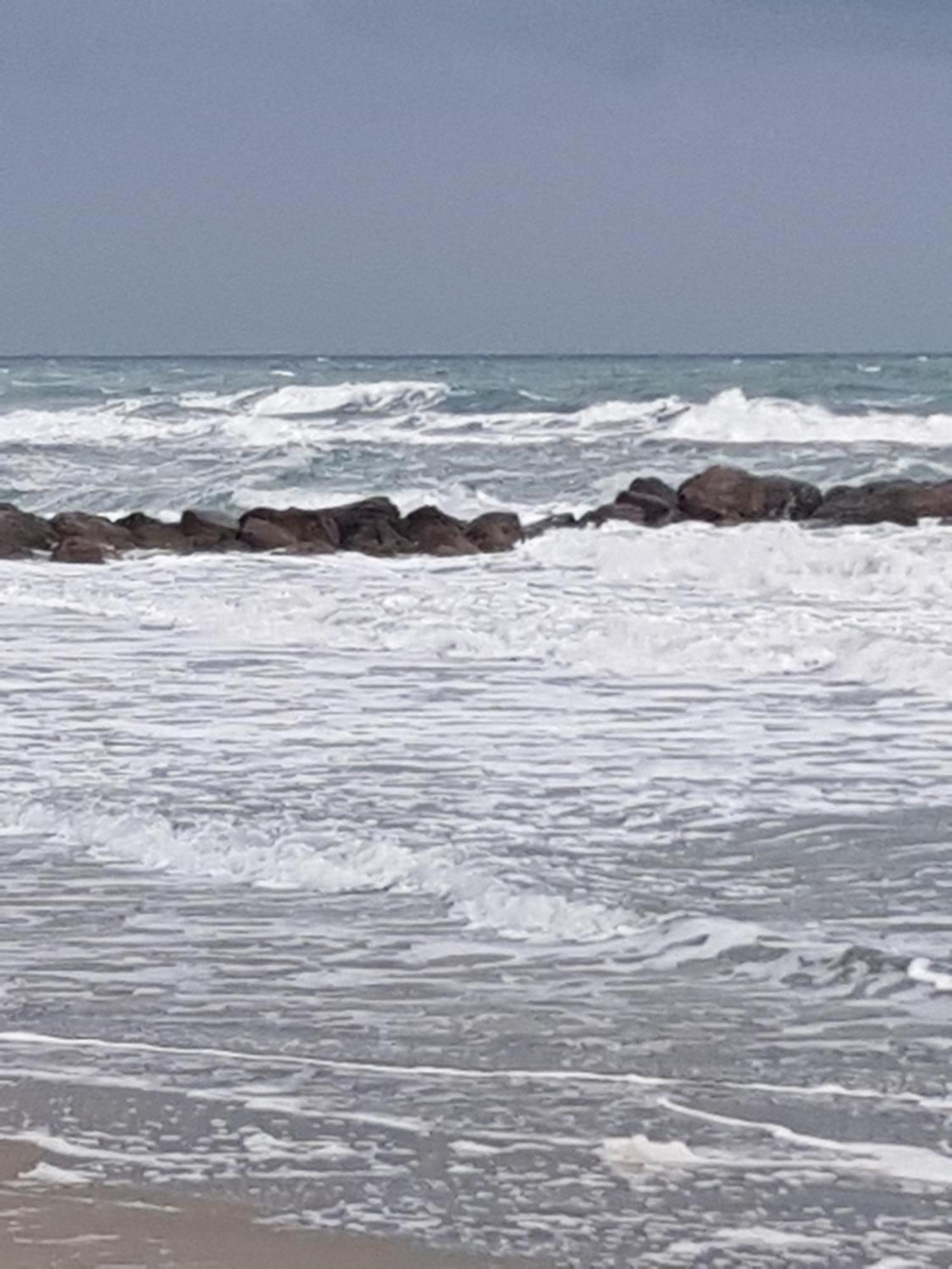 Tahiti Beach, T2 A La Mer, Piscine, Terrasse Et Parking Frontignan Εξωτερικό φωτογραφία